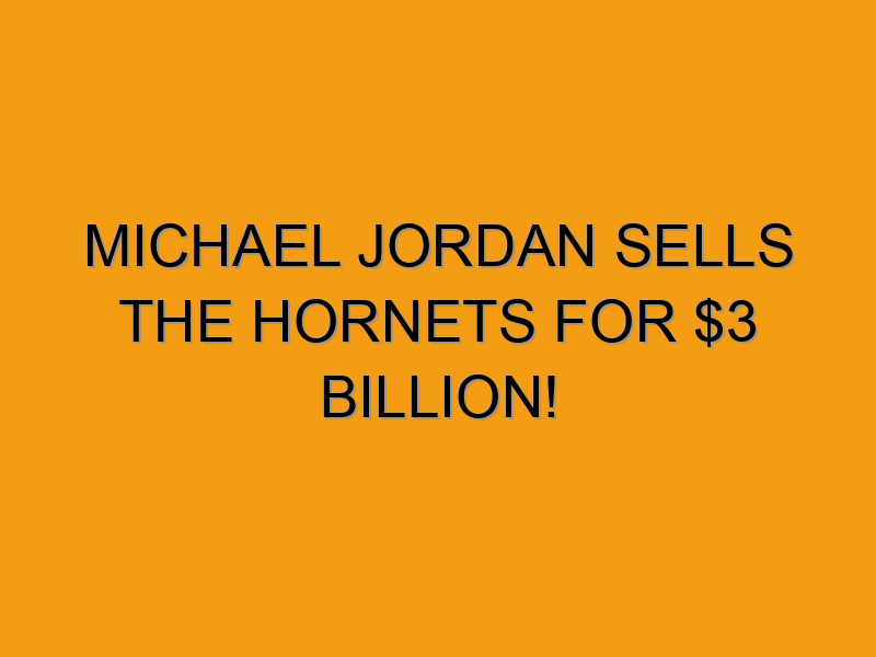 michael jordan sells hornets